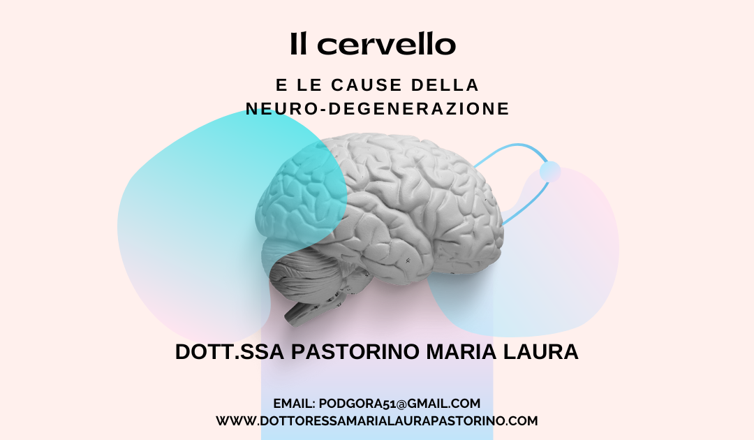 Il cervello e le cause della neuro-degenerazione