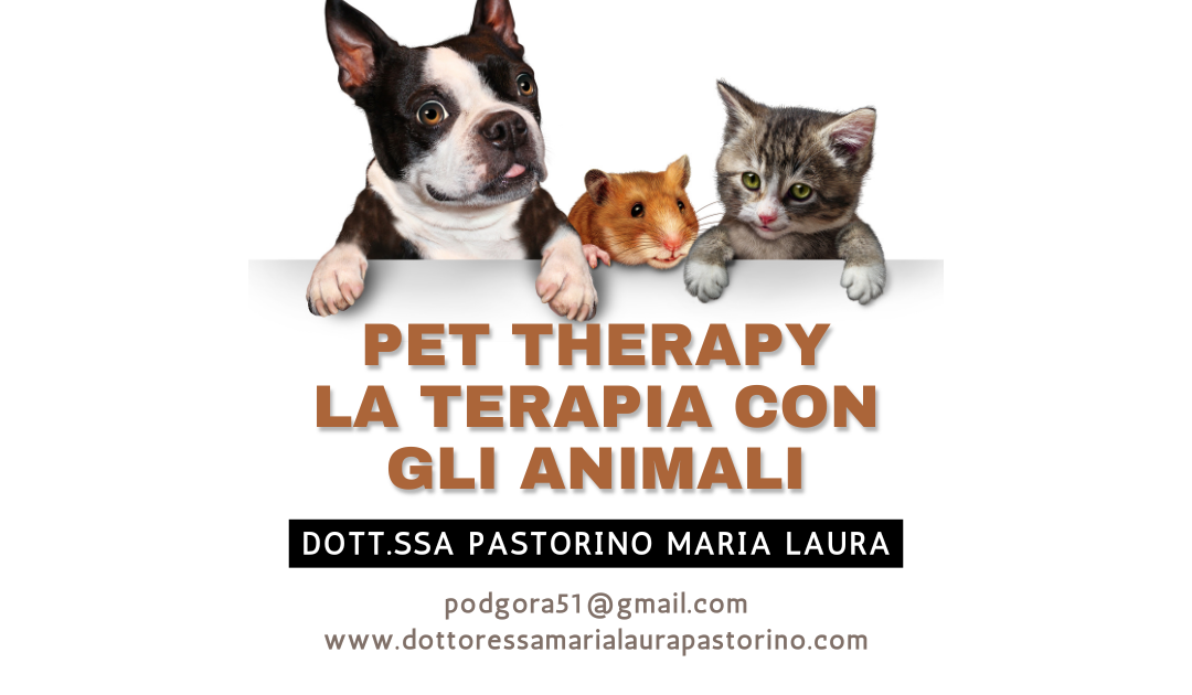 pet therapy